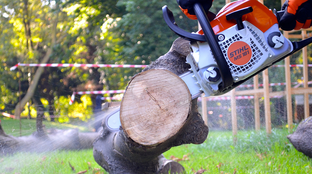 Herbstsessions: Kettensägen Workshop - Sponsored by Stihl