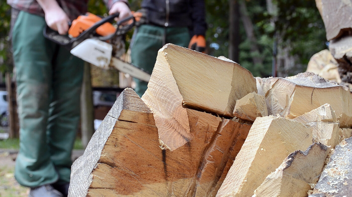 Workshop Stihl Kettensägen